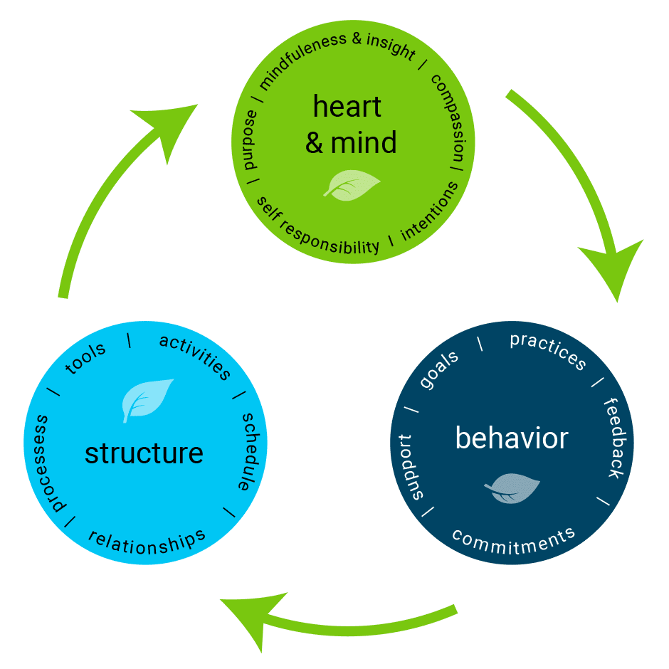 Wheel of change